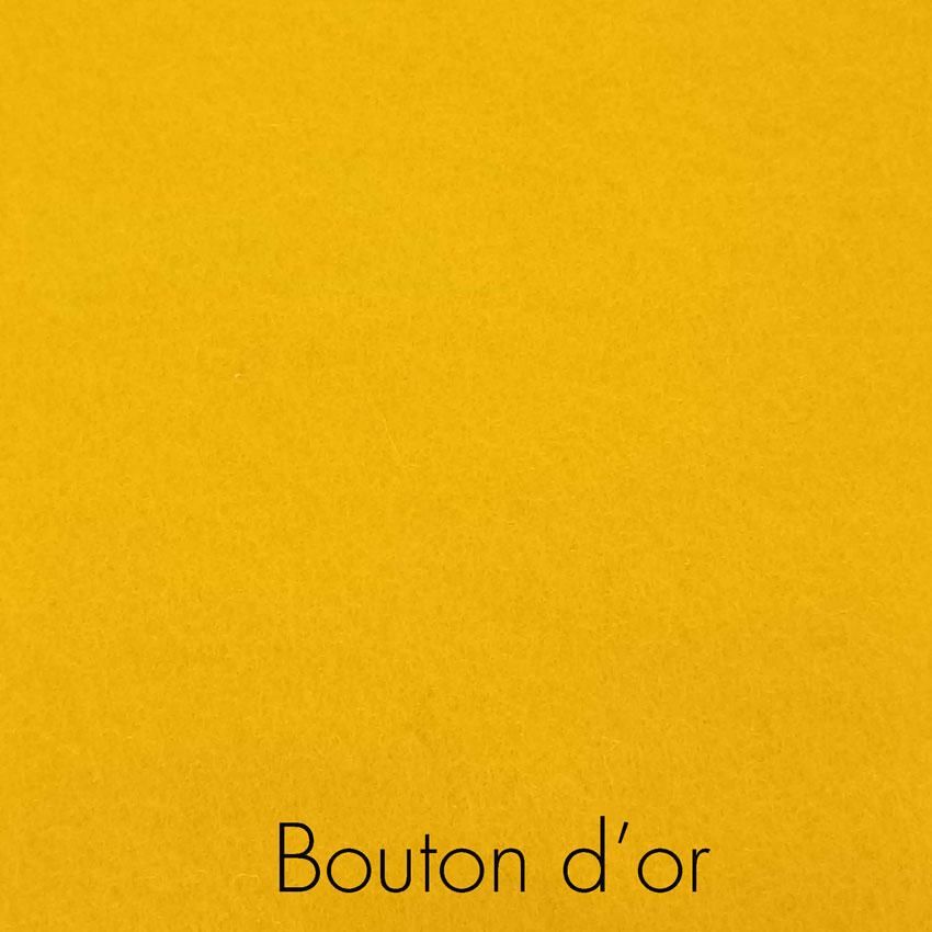Bouton d or 1