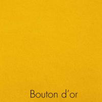 Bouton d or 1