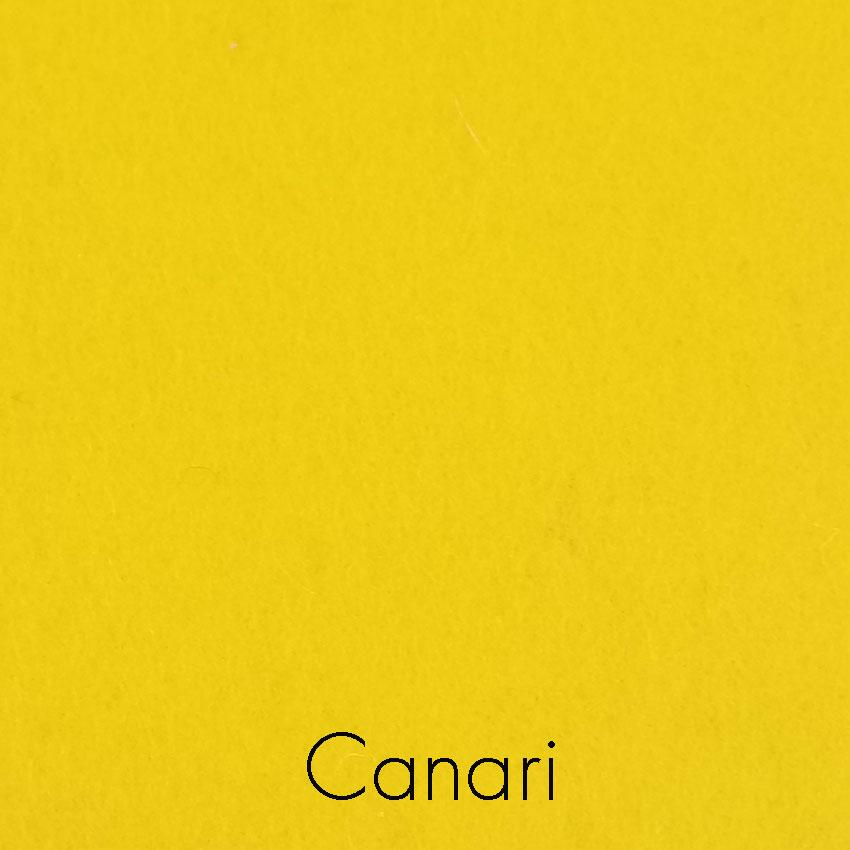 Canari