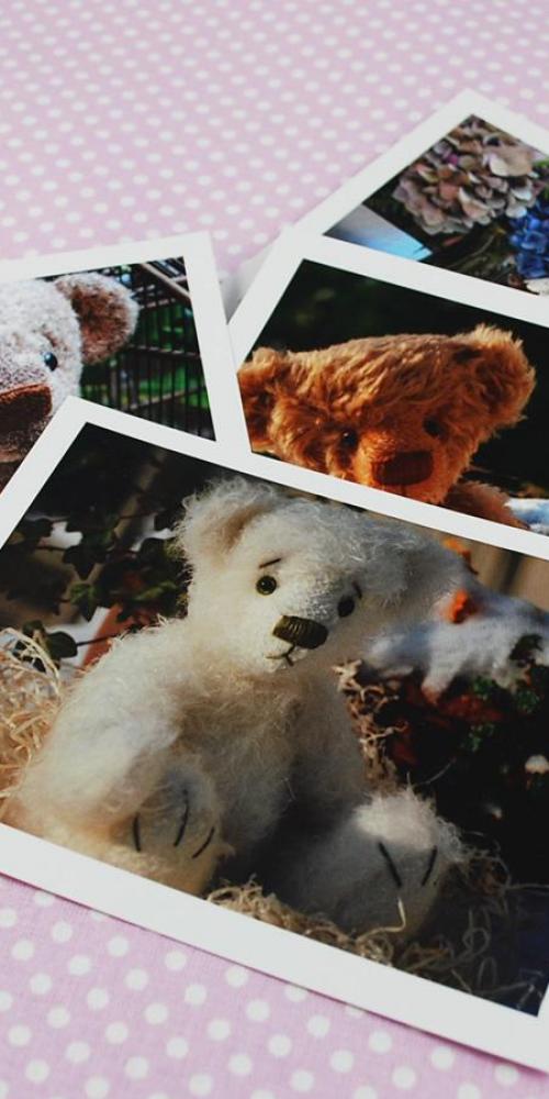 Livres et cartes postales