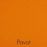 Pavot