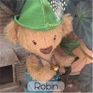 Robin 3
